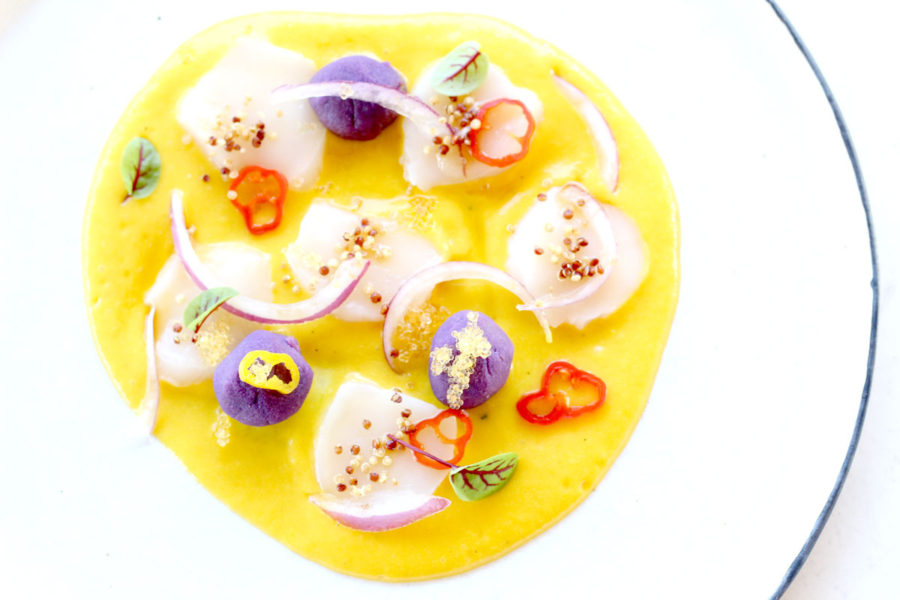 Tiradito de Conchas